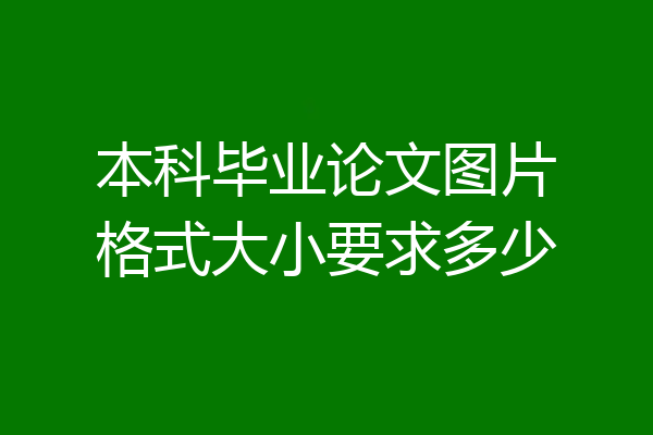 本科毕业论文图片格式大小要求多少