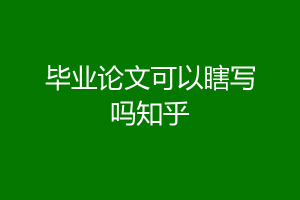 毕业论文可以瞎写吗知乎