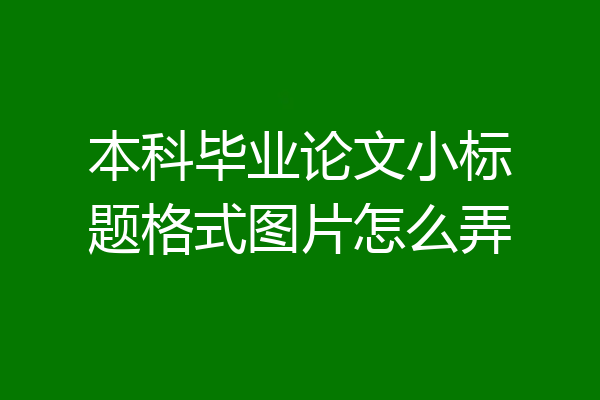 本科毕业论文小标题格式图片怎么弄