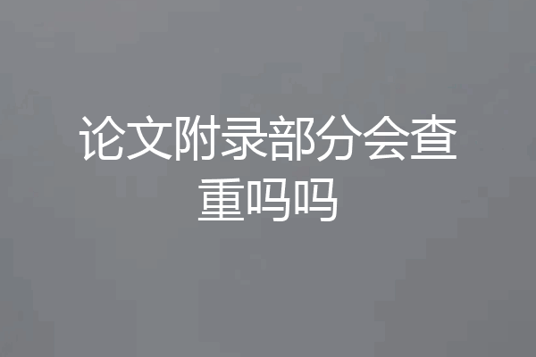 论文附录部分会查重吗吗