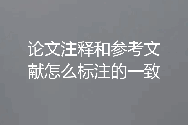 论文注释和参考文献怎么标注的一致