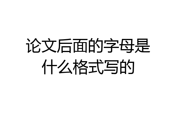 论文后面的字母是什么格式写的