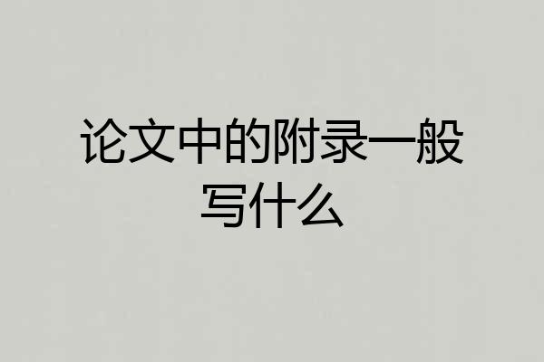 论文中的附录一般写什么