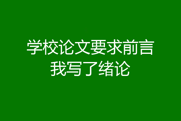 学校论文要求前言我写了绪论