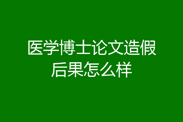 医学博士论文造假后果怎么样