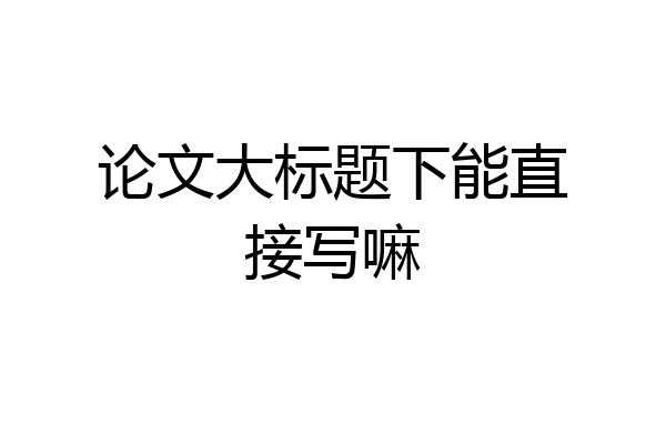 论文大标题下能直接写嘛