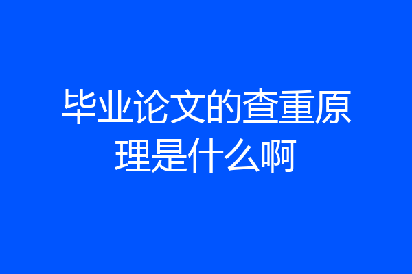 毕业论文的查重原理是什么啊