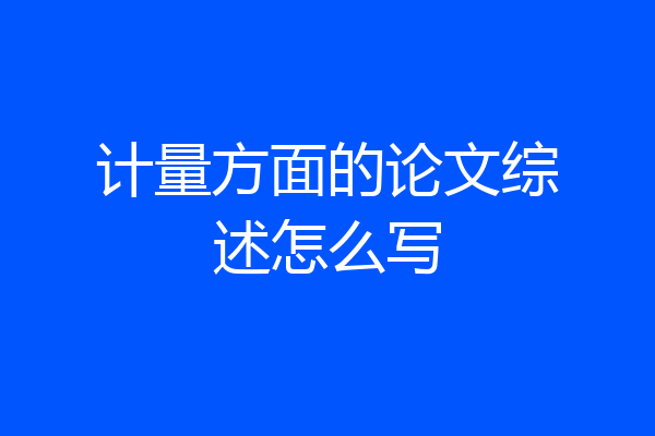 计量方面的论文综述怎么写