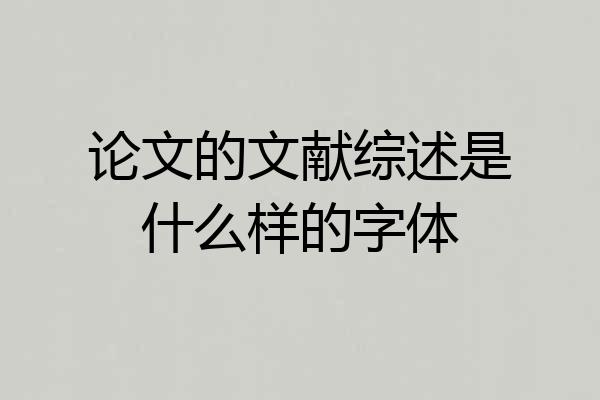 论文的文献综述是什么样的字体