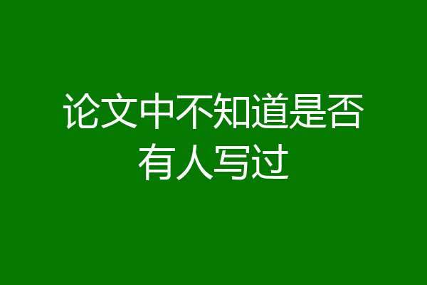 论文中不知道是否有人写过