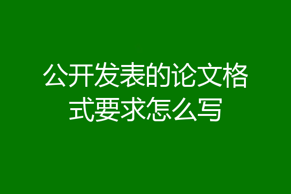 公开发表的论文格式要求怎么写