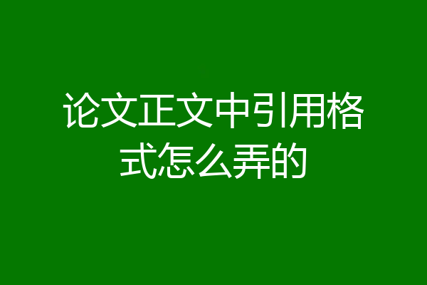 论文正文中引用格式怎么弄的