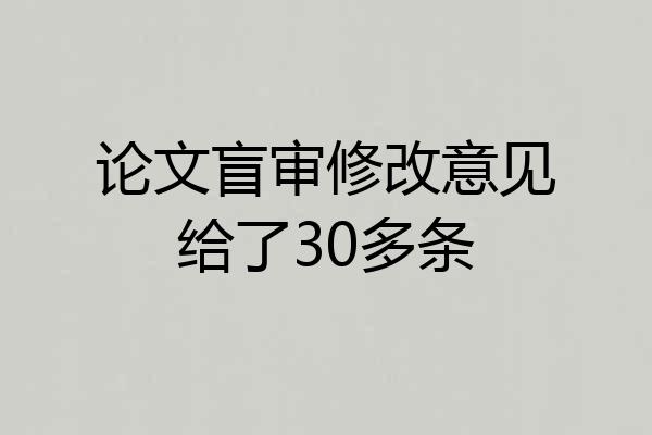 论文盲审修改意见给了30多条