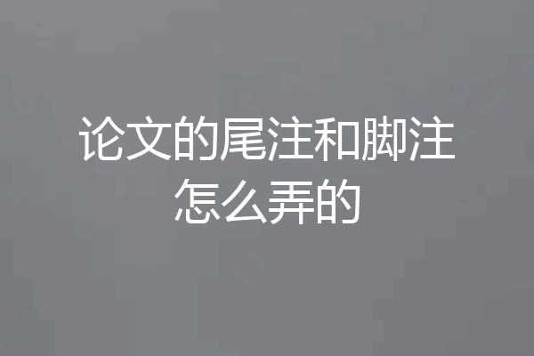 论文的尾注和脚注怎么弄的