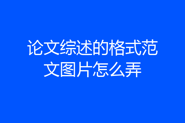 论文综述的格式范文图片怎么弄