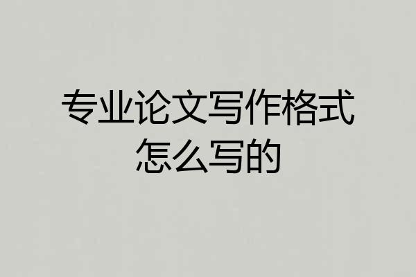 专业论文写作格式怎么写的