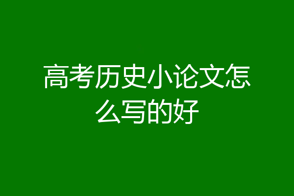 高考历史小论文怎么写的好