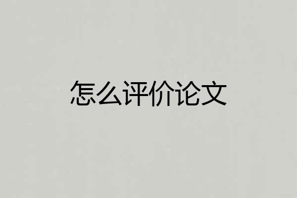 怎么评价论文
