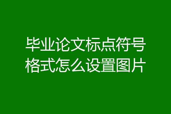 毕业论文标点符号格式怎么设置图片