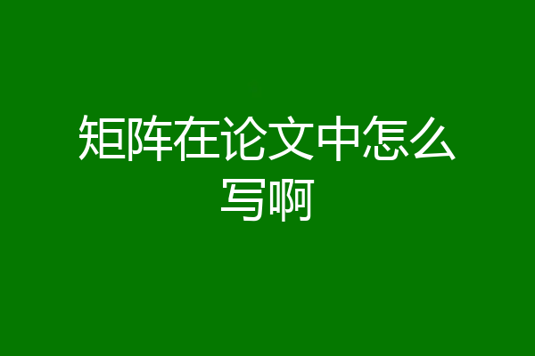 矩阵在论文中怎么写啊