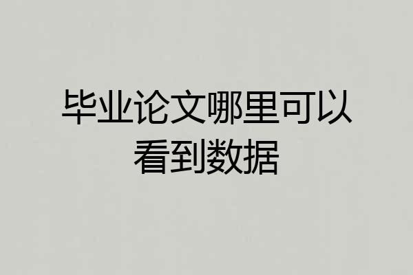 毕业论文哪里可以看到数据
