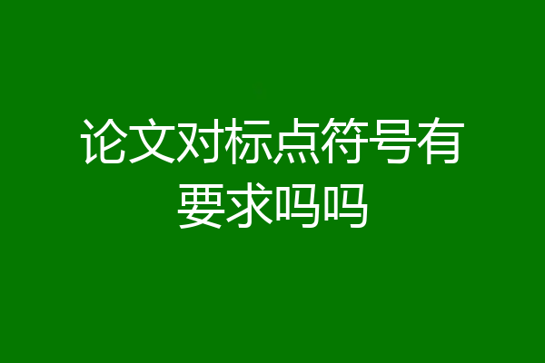 论文对标点符号有要求吗吗
