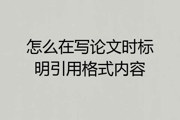 怎么在写论文时标明引用格式内容