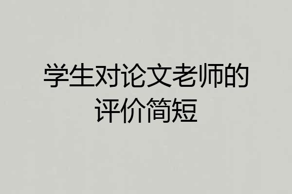 学生对论文老师的评价简短