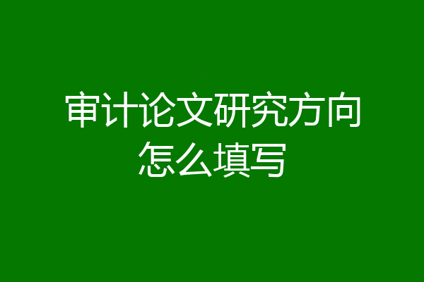 审计论文研究方向怎么填写