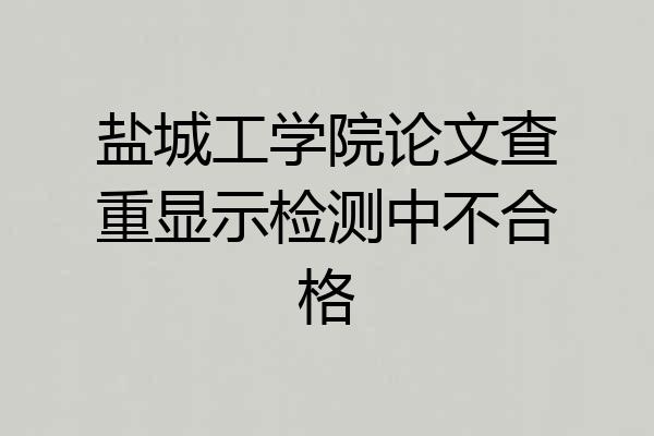 盐城工学院论文查重显示检测中不合格