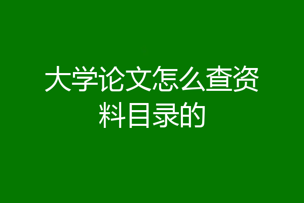 大学论文怎么查资料目录的