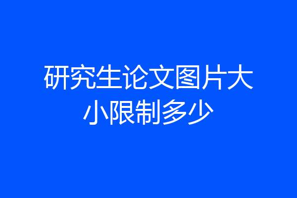 研究生论文图片大小限制多少