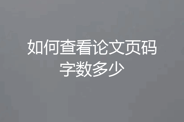 如何查看论文页码字数多少