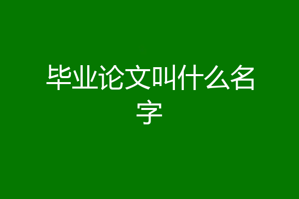 毕业论文叫什么名字