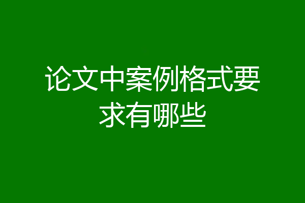 论文中案例格式要求有哪些