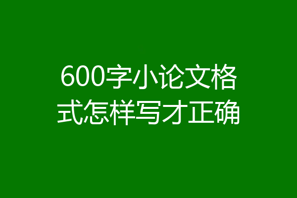 600字小论文格式怎样写才正确