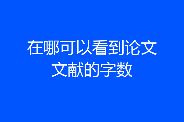 在哪可以看到论文文献的字数