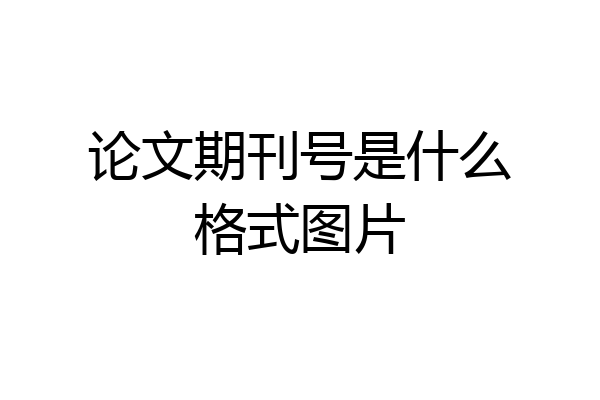 论文期刊号是什么格式图片