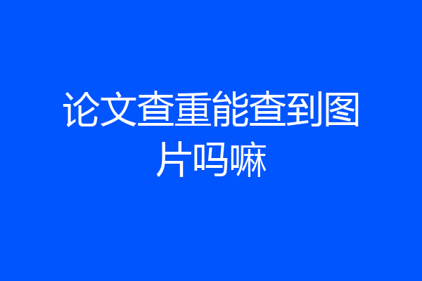 论文查重能查到图片吗嘛