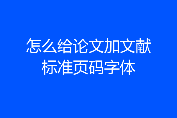 怎么给论文加文献标准页码字体