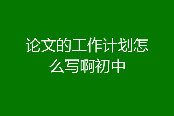 论文的工作计划怎么写啊初中