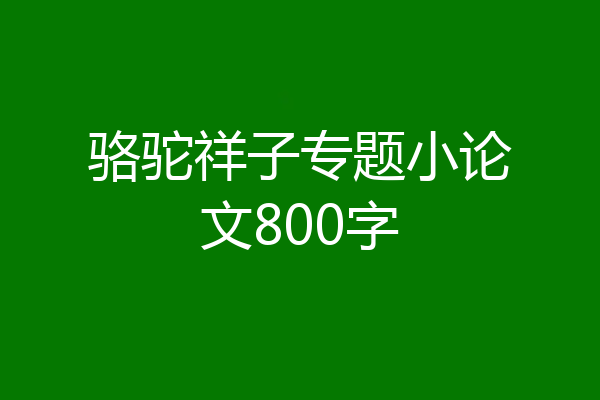 骆驼祥子专题小论文800字