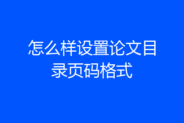 怎么样设置论文目录页码格式