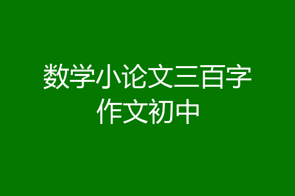 数学小论文三百字作文初中