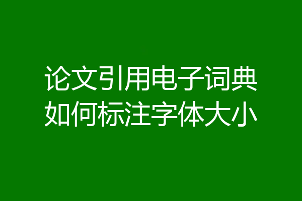 论文引用电子词典如何标注字体大小