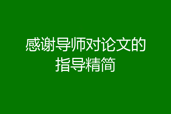 感谢导师对论文的指导精简