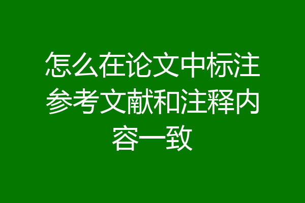 怎么在论文中标注参考文献和注释内容一致