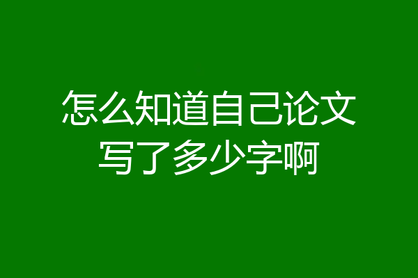 怎么知道自己论文写了多少字啊