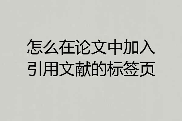 怎么在论文中加入引用文献的标签页