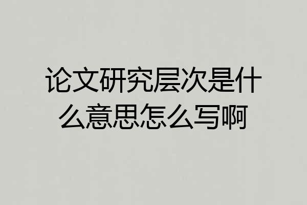 论文研究层次是什么意思怎么写啊